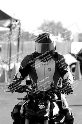 media/Jun-04-2023-Apex Assassins (Sun) [[43813f47a8]]/Around the Pits/